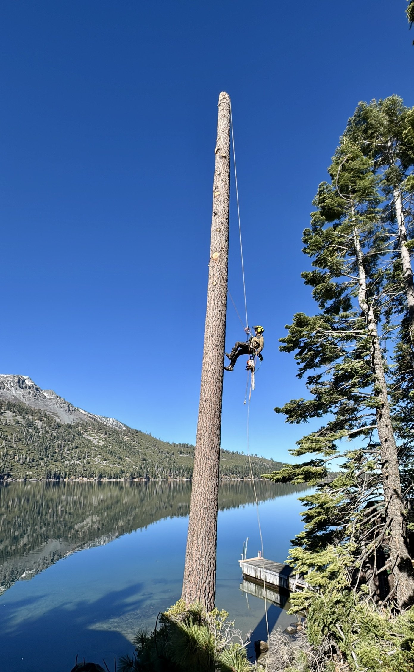 Climber performing a technical sectional tree removal above a Lake Tahoe home
