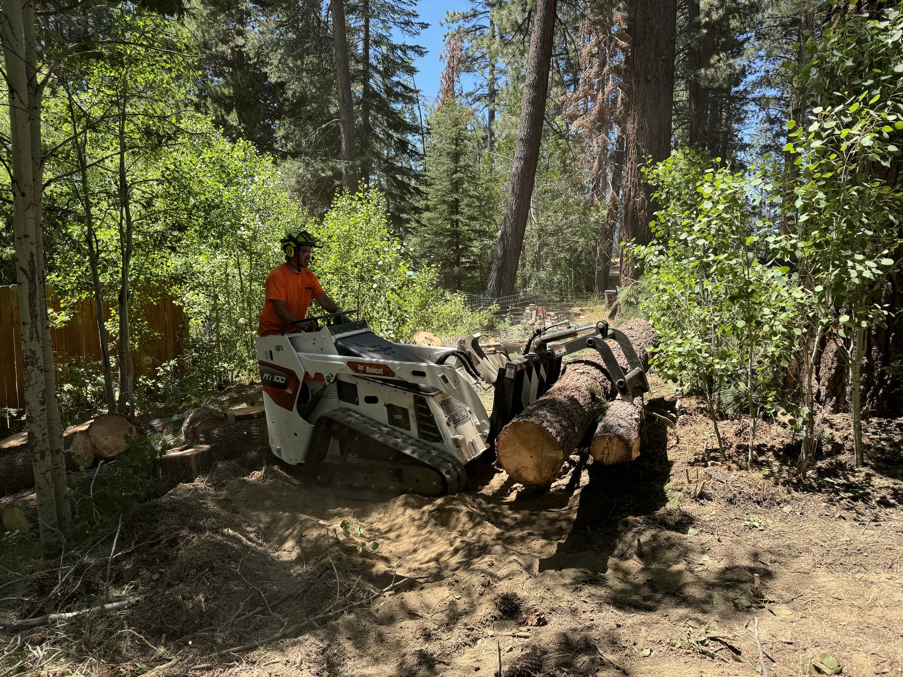 Defensible space and wildfire mitigation for Sierra homes