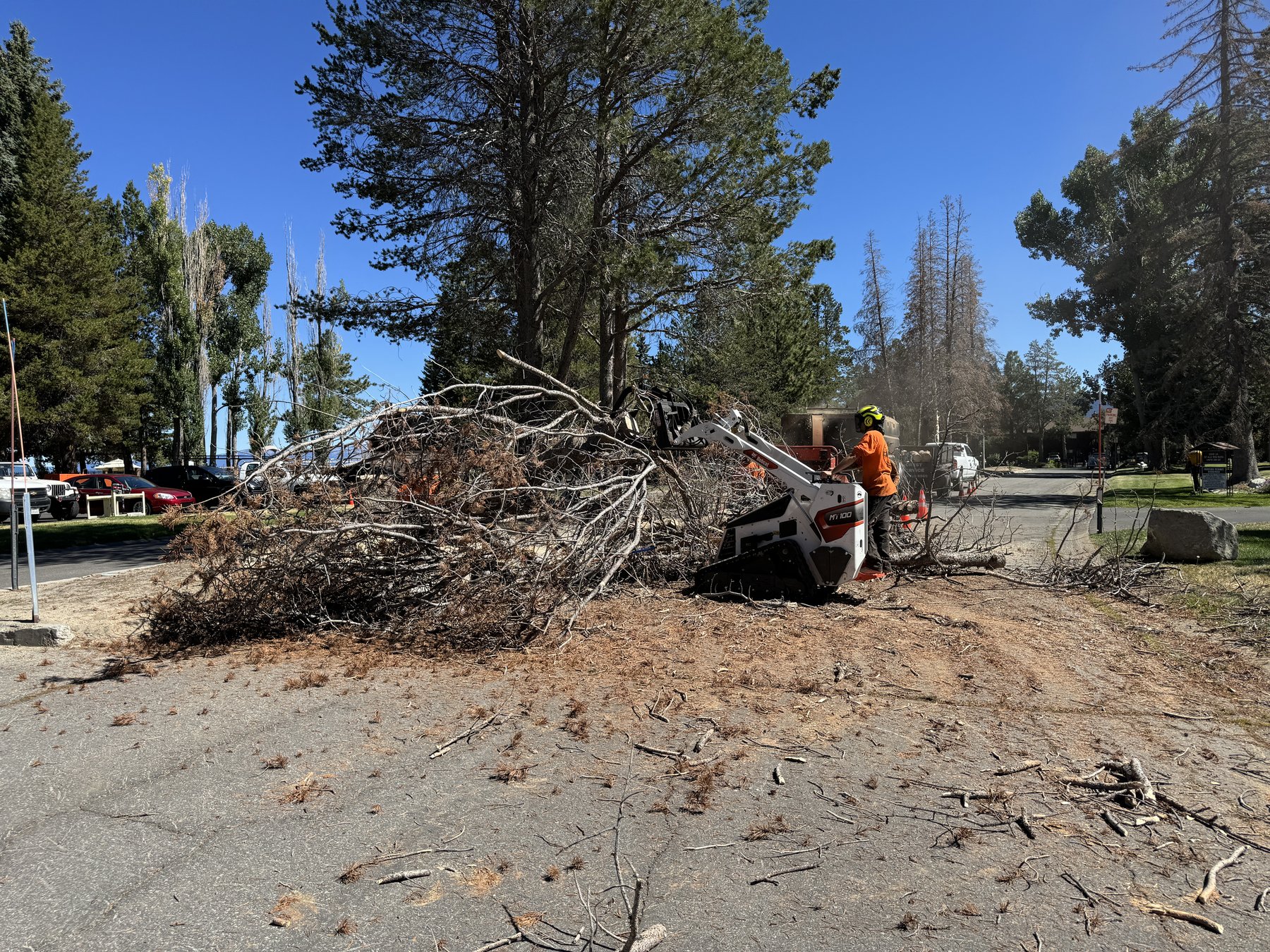 Storm and debris cleanup across the South Shore
